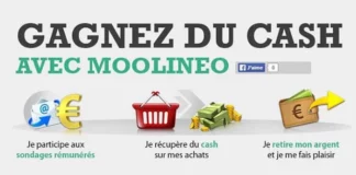 Moolineo: Un site très fiable, agréable et rémunérateur moolineo